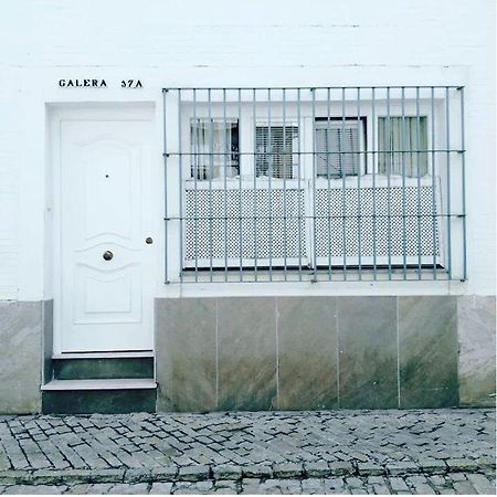 Coqueto Apartamento En El Arenal, Centro Seville Luaran gambar